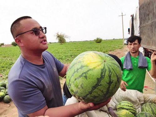 西藏扎西枫丹娱乐吃瓜,吃瓜群众眼中的神秘娱乐王国